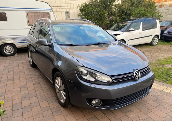 volkswagen Volkswagen Golf cena 14000 przebieg: 205742, rok produkcji 2011 z Piotrków Trybunalski